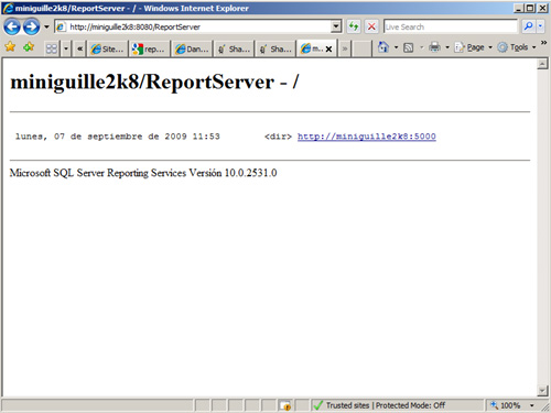Report Server