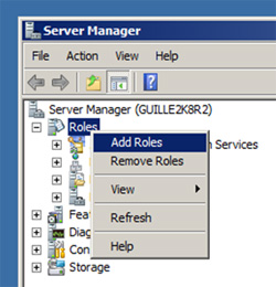 Opción Add Roles de Server Manager