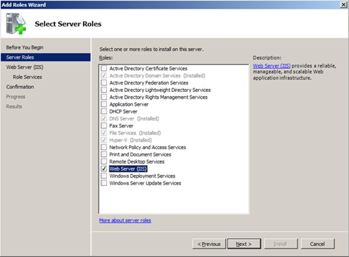 En la página Select Server Roles, seleccionar el Role Web Server (IIS)